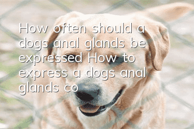 How often should a dog’s anal glands be expressed? How to express a dog’s anal glands correctly?