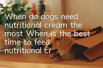 When do dogs need nutritional cream the most? When is the best time to feed nutritional cream?