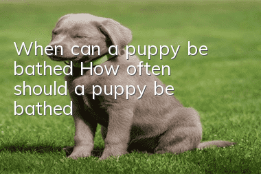 When can a puppy be bathed? How often should a puppy be bathed?