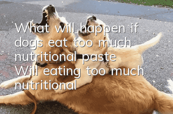 What will happen if dogs eat too much nutritional paste? Will eating too much nutritional paste be harmful?