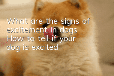 What are the signs of excitement in dogs? How to tell if your dog is excited?