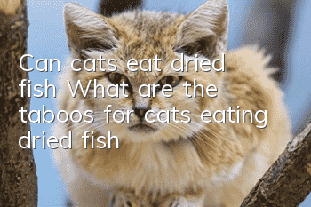 Can cats eat dried fish? What are the taboos for cats eating dried fish?