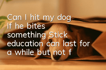 Can I hit my dog if he bites something? Stick education can last for a while but not forever.
