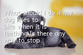 What should I do if my dog likes to bite when it is teething? Is there any way to stop it from biting?