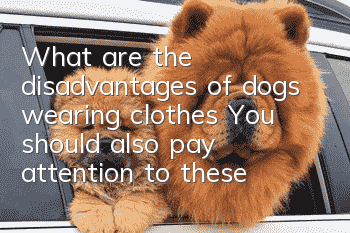 What are the disadvantages of dogs wearing clothes? You should also pay attention to these issues while wearing clothes to keep warm.