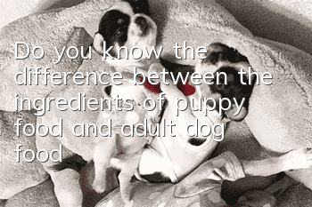Do you know the difference between the ingredients of puppy food and adult dog food?