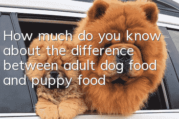 How much do you know about the difference between adult dog food and puppy food?