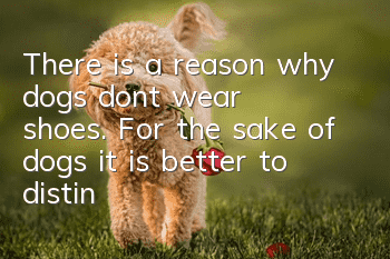 There is a reason why dogs don’t wear shoes. For the sake of dogs, it is better to distinguish the situation and wear shoes.