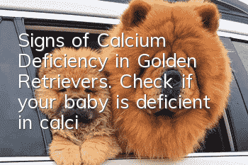 Signs of Calcium Deficiency in Golden Retrievers. Check if your baby is deficient in calcium.