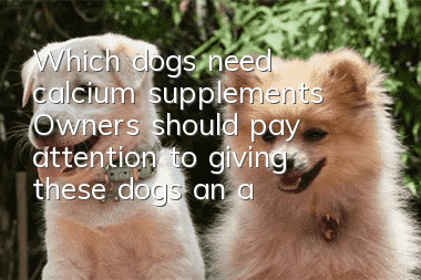 Which dogs need calcium supplements? Owners should pay attention to giving these dogs an appropriate amount of calcium supplements.