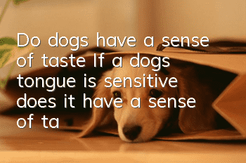 Do dogs have a sense of taste? If a dog’s tongue is sensitive, does it have a sense of taste?