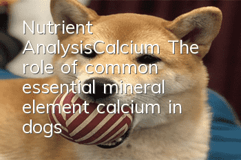 Nutrient Analysis—Calcium The role of common essential mineral element calcium in dogs’ bodies