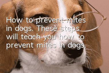 How to prevent mites in dogs. These steps will teach you how to prevent mites in dogs.