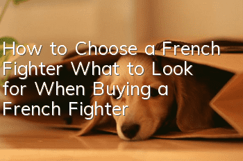 How to Choose a French Fighter What to Look for When Buying a French Fighter