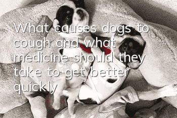 What causes dogs to cough and what medicine should they take to get better quickly?