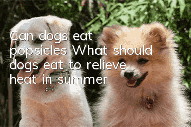 Can dogs eat popsicles? What should dogs eat to relieve heat in summer?