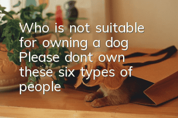 Who is not suitable for owning a dog? Please don’t own these six types of people