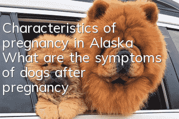 Characteristics of pregnancy in Alaska What are the symptoms of dogs after pregnancy?