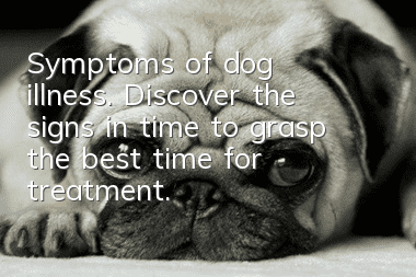 Symptoms of dog illness. Discover the signs in time to grasp the best time for treatment.