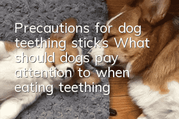Precautions for dog teething sticks What should dogs pay attention to when eating teething sticks?