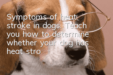 Symptoms of heat stroke in dogs. Teach you how to determine whether your dog has heat stroke.