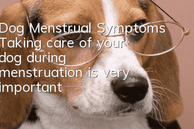 Dog Menstrual Symptoms Taking care of your dog during menstruation is very important!