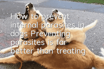 How to prevent internal parasites in dogs Preventing parasites is far better than treating them