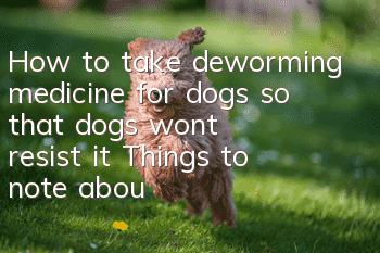 How to take deworming medicine for dogs so that dogs won’t resist it? Things to note about deworming medicine for dogs