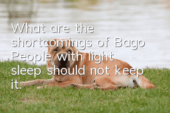 What are the shortcomings of Bago? People with light sleep should not keep it.