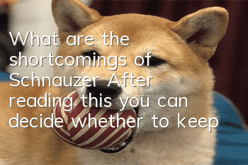 What are the shortcomings of Schnauzer? After reading this, you can decide whether to keep it or not.