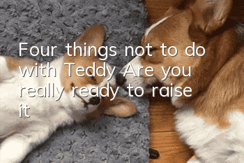 Four things not to do with Teddy: Are you really ready to raise it?