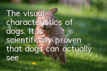 The visual characteristics of dogs. It is scientifically proven that dogs can actually see colors.