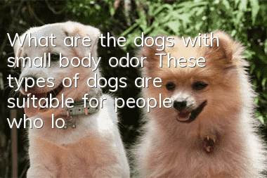 What are the dogs with small body odor? These types of dogs are suitable for people who love cleanliness.