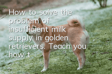 How to solve the problem of insufficient milk supply in golden retrievers. Teach you how to use dietary therapy to induce lactation.
