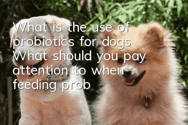 What is the use of probiotics for dogs? What should you pay attention to when feeding probiotics to dogs?