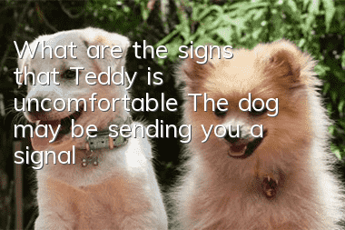 What are the signs that Teddy is uncomfortable? The dog may be sending you a signal