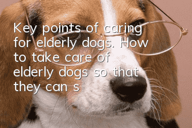 Key points of caring for elderly dogs. How to take care of elderly dogs so that they can spend their old age peacefully.