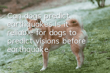 Can dogs predict earthquakes? Is it reliable for dogs to predict visions before earthquakes?