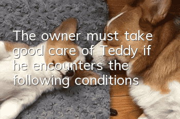 The owner must take good care of Teddy if he encounters the following conditions: