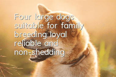 Four large dogs suitable for family breeding, loyal, reliable and non-shedding