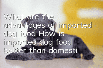 What are the advantages of imported dog food? How is imported dog food better than domestic dog food?