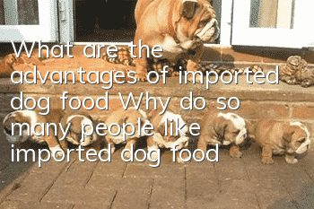 What are the advantages of imported dog food? Why do so many people like imported dog food?