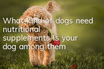 What kind of dogs need nutritional supplements? Is your dog among them?