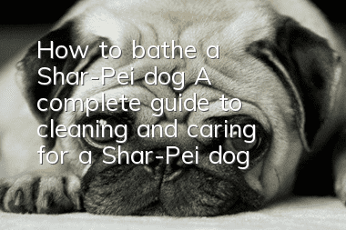 How to bathe a Shar-Pei dog? A complete guide to cleaning and caring for a Shar-Pei dog
