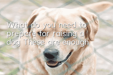 What do you need to prepare for raising a dog? These are enough