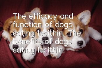 The efficacy and function of dogs eating lecithin. The benefits of dogs eating lecithin.