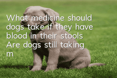 What medicine should dogs take if they have blood in their stools? Are dogs still taking medicine if they have blood in their stools?