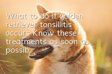 What to do if golden retriever tonsillitis occurs? Know these treatments as soon as possible