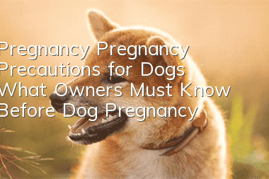 Pregnancy Pregnancy Precautions for Dogs What Owners Must Know Before Dog Pregnancy