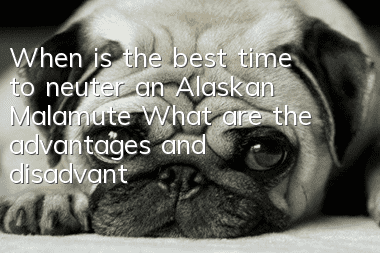 When is the best time to neuter an Alaskan Malamute? What are the advantages and disadvantages of dog neutering?